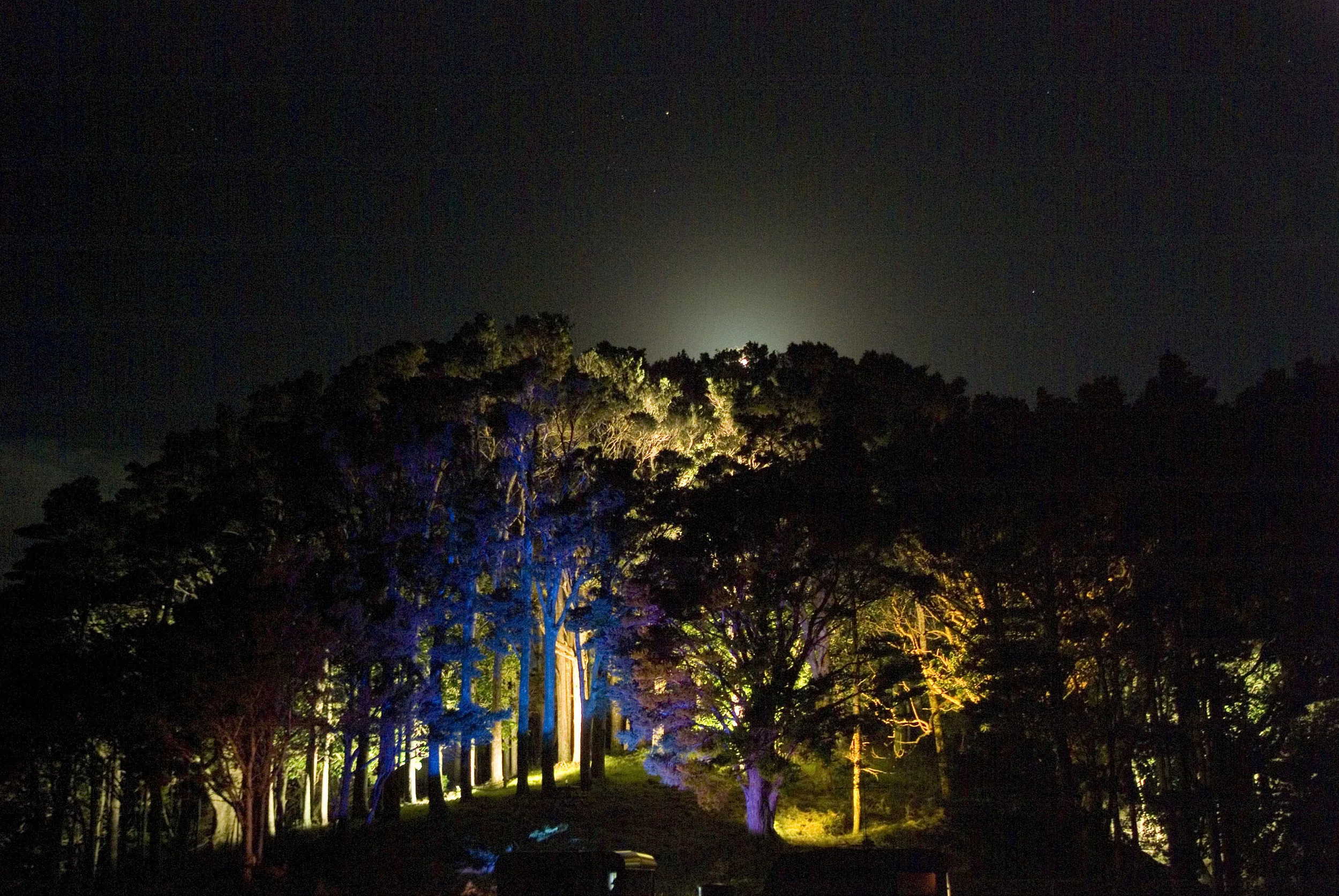 Insight Light (12).jpg