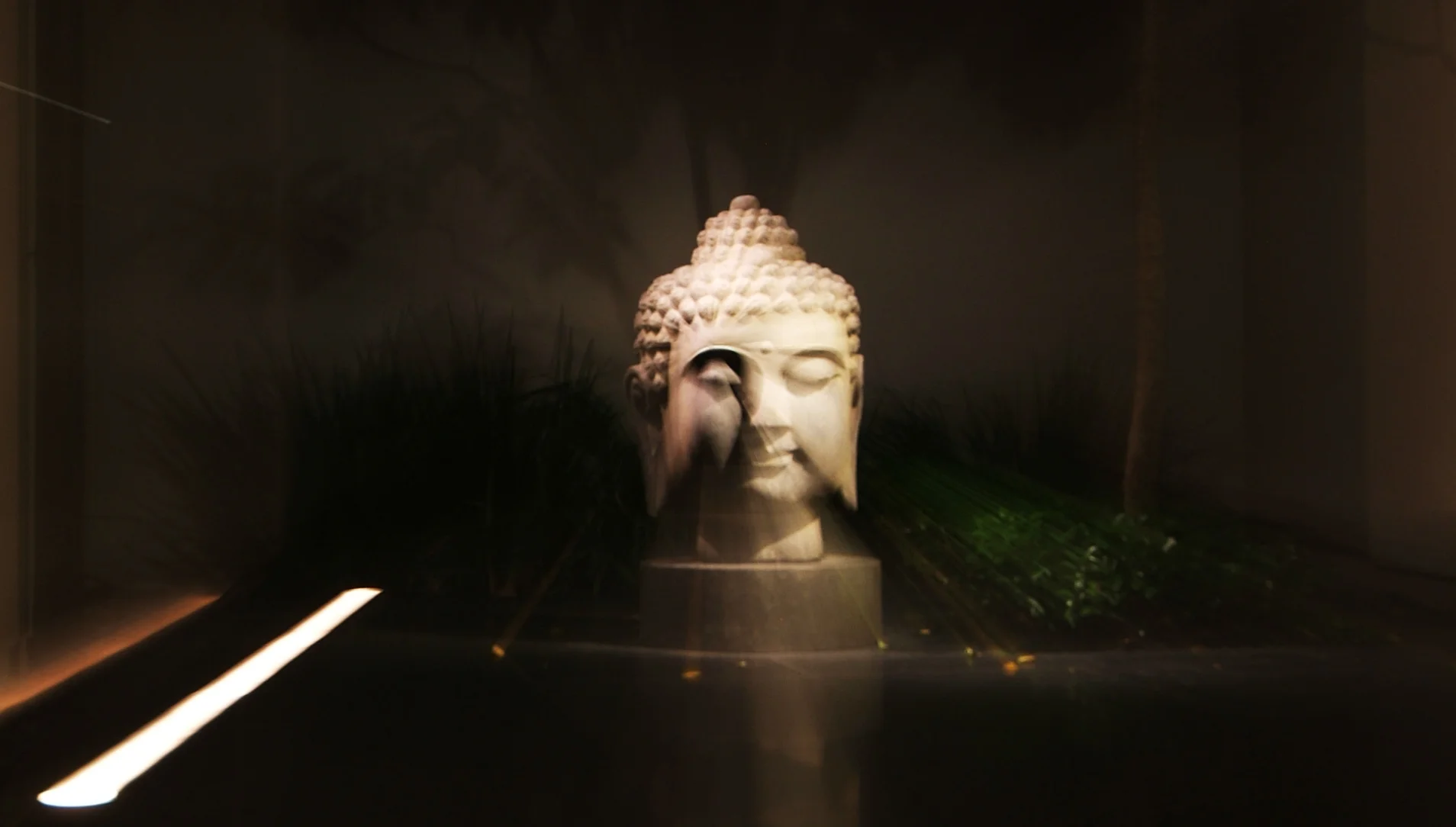 Insight Light_Project pic_DSCF8958_2.jpg