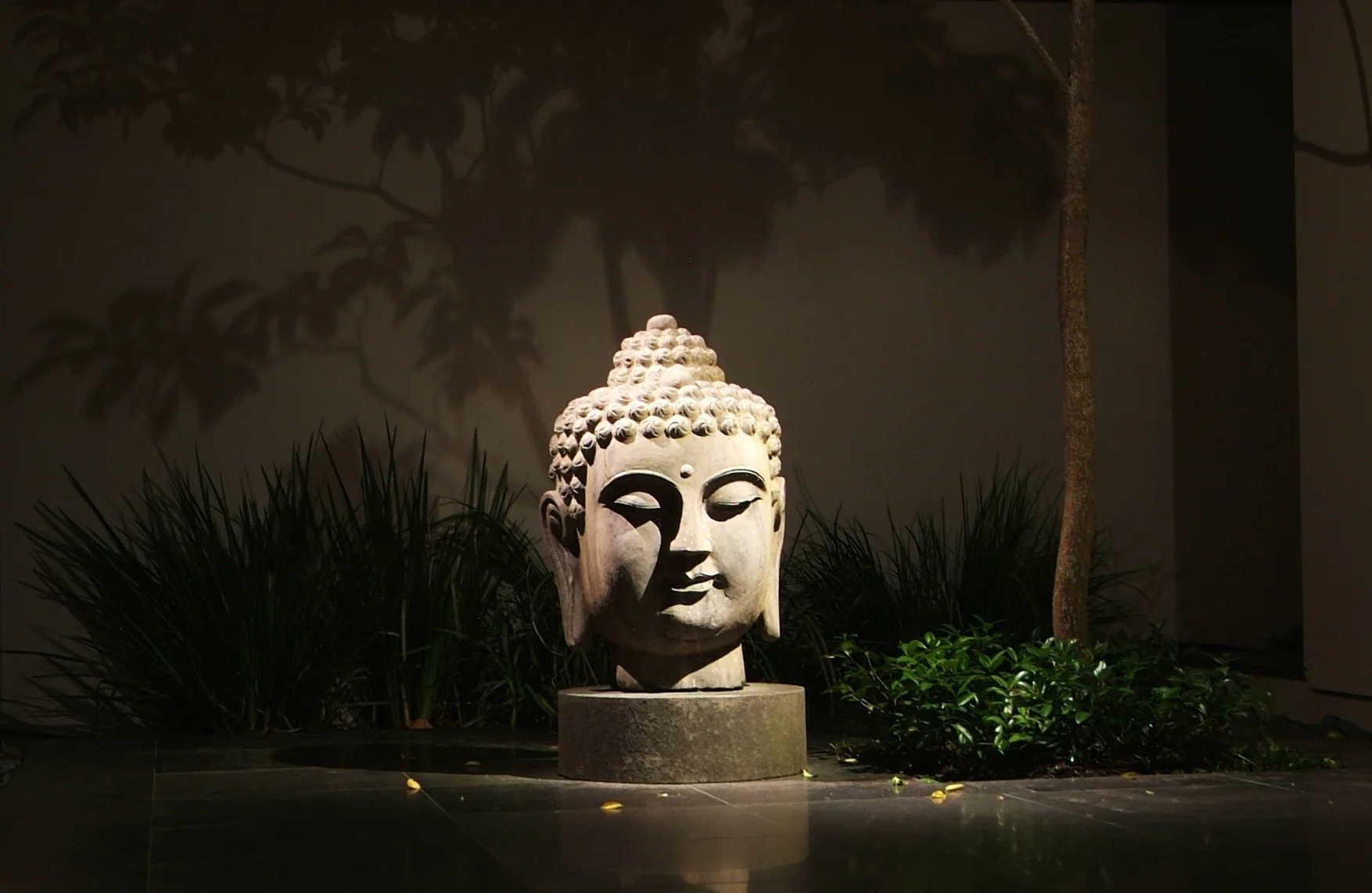 Insight Light_Project pic_DSCF8957_2.jpg