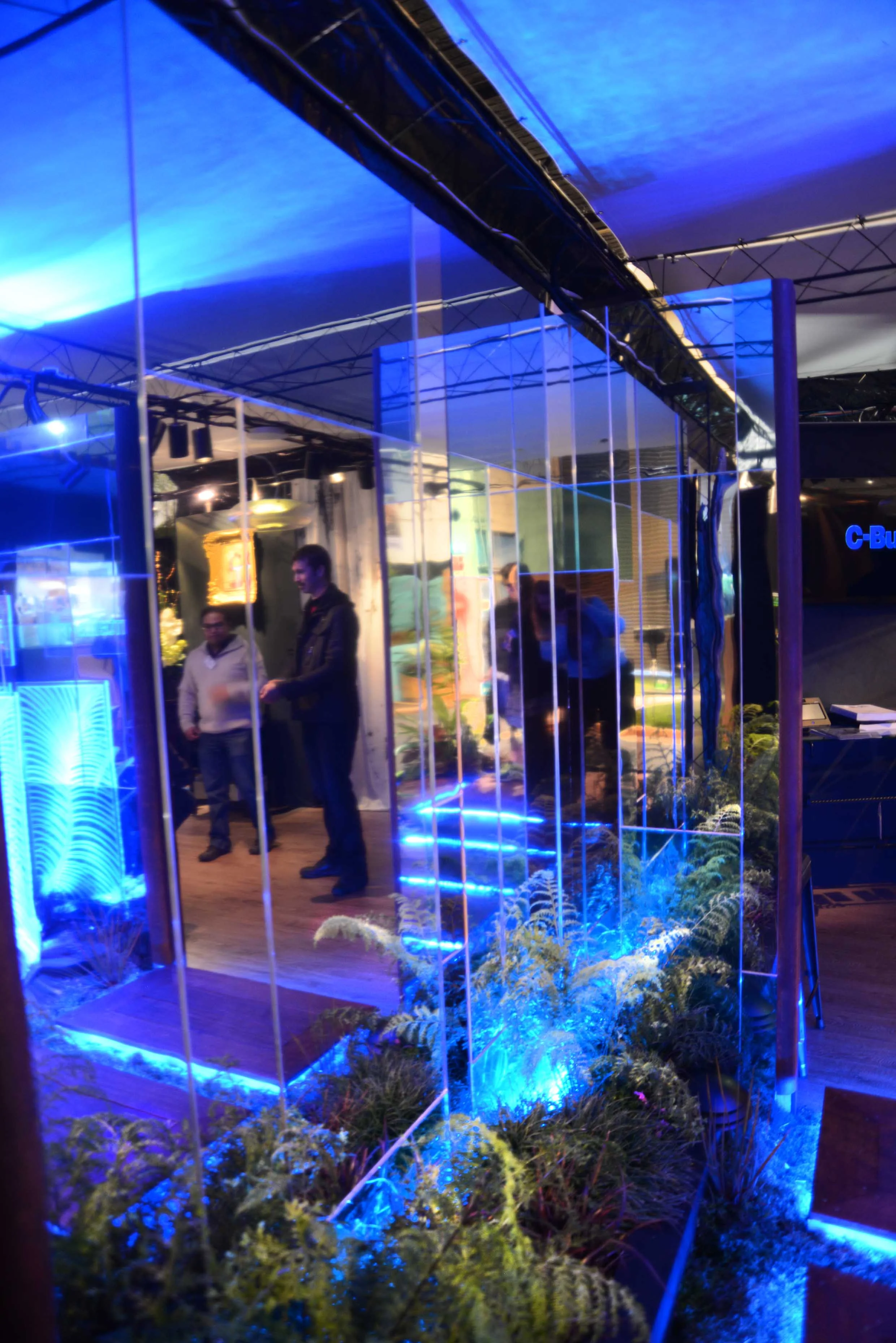 DSC_0077_insight light.jpg