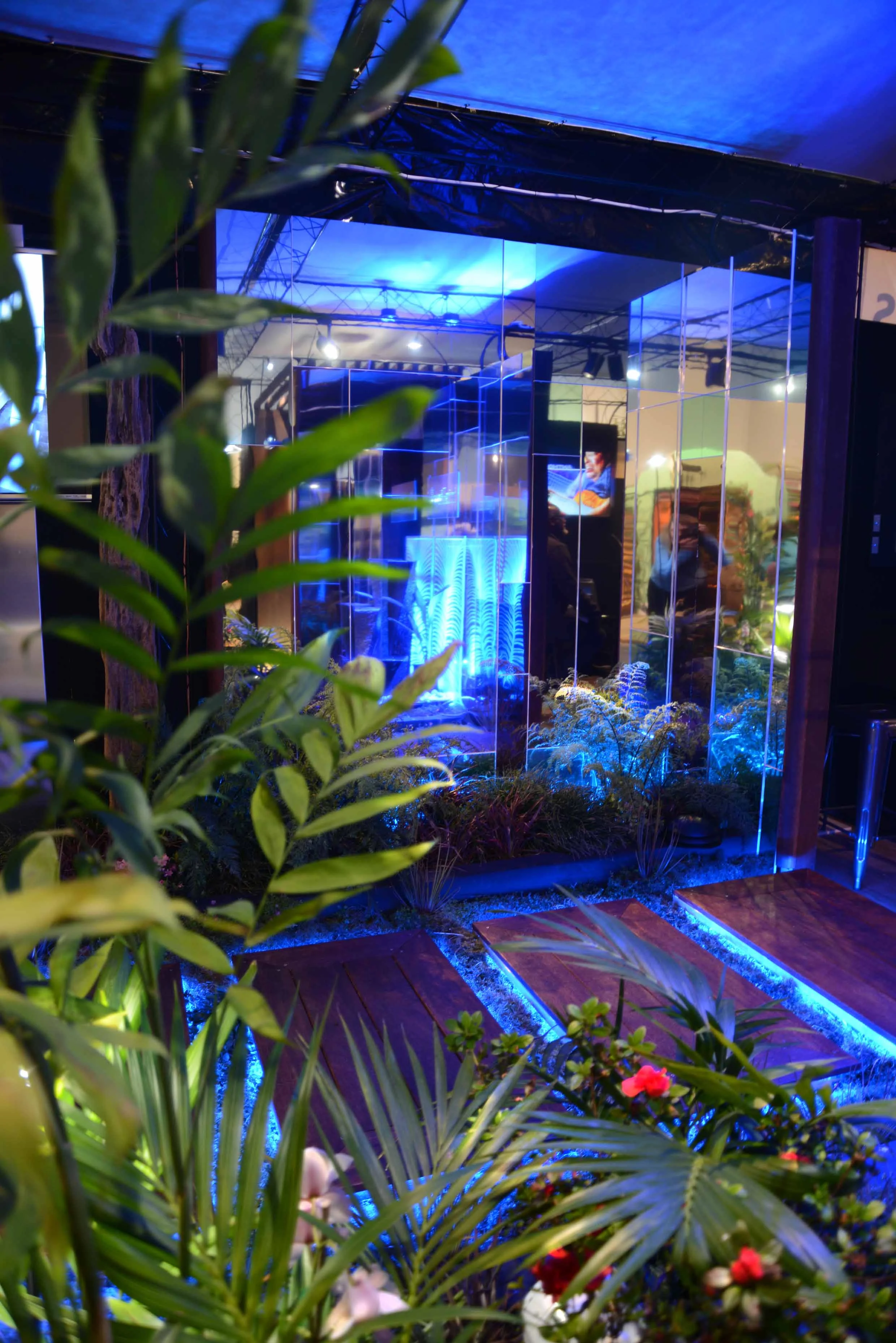 DSC_0078_insight light.jpg