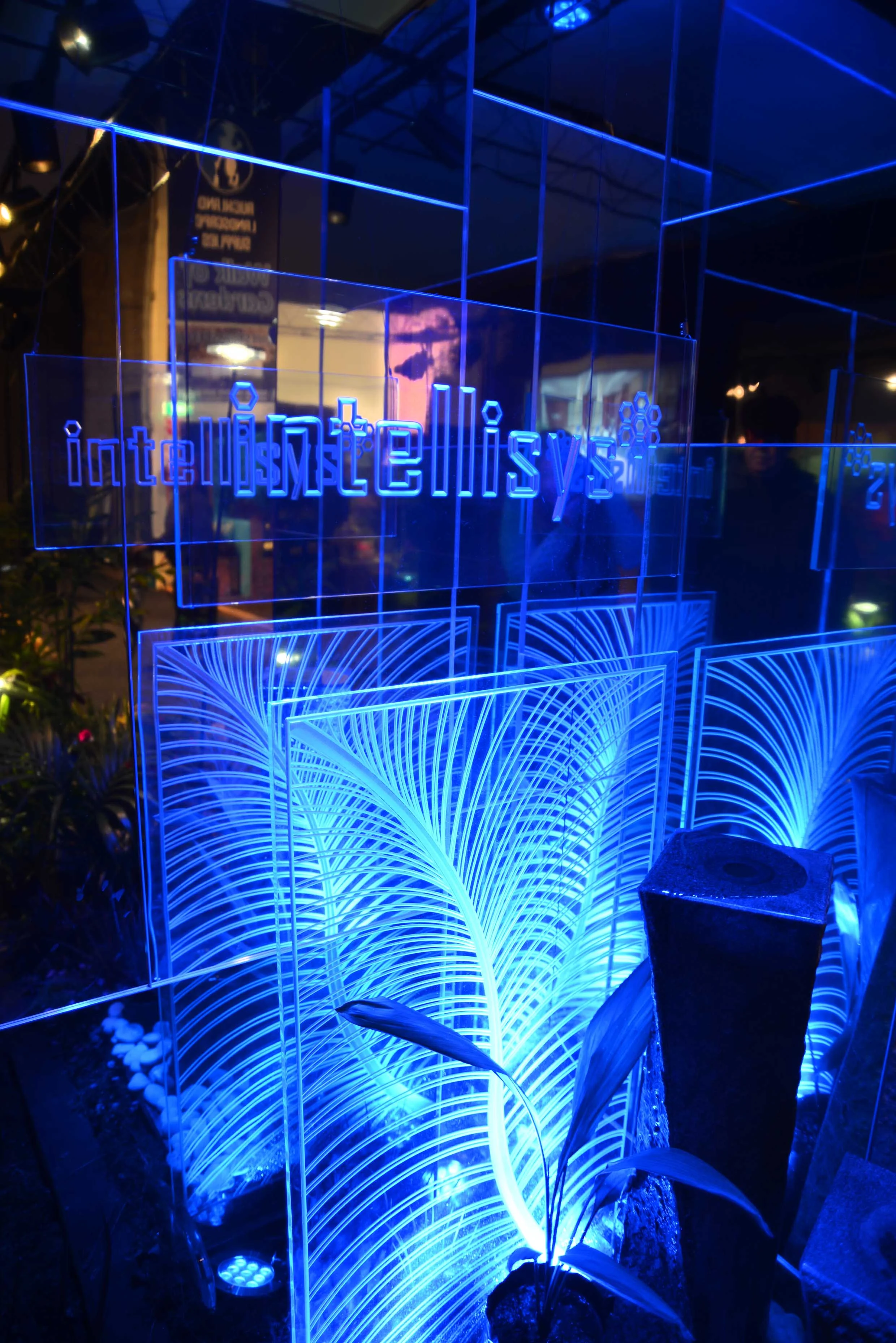 DSC_0080_insight light.jpg