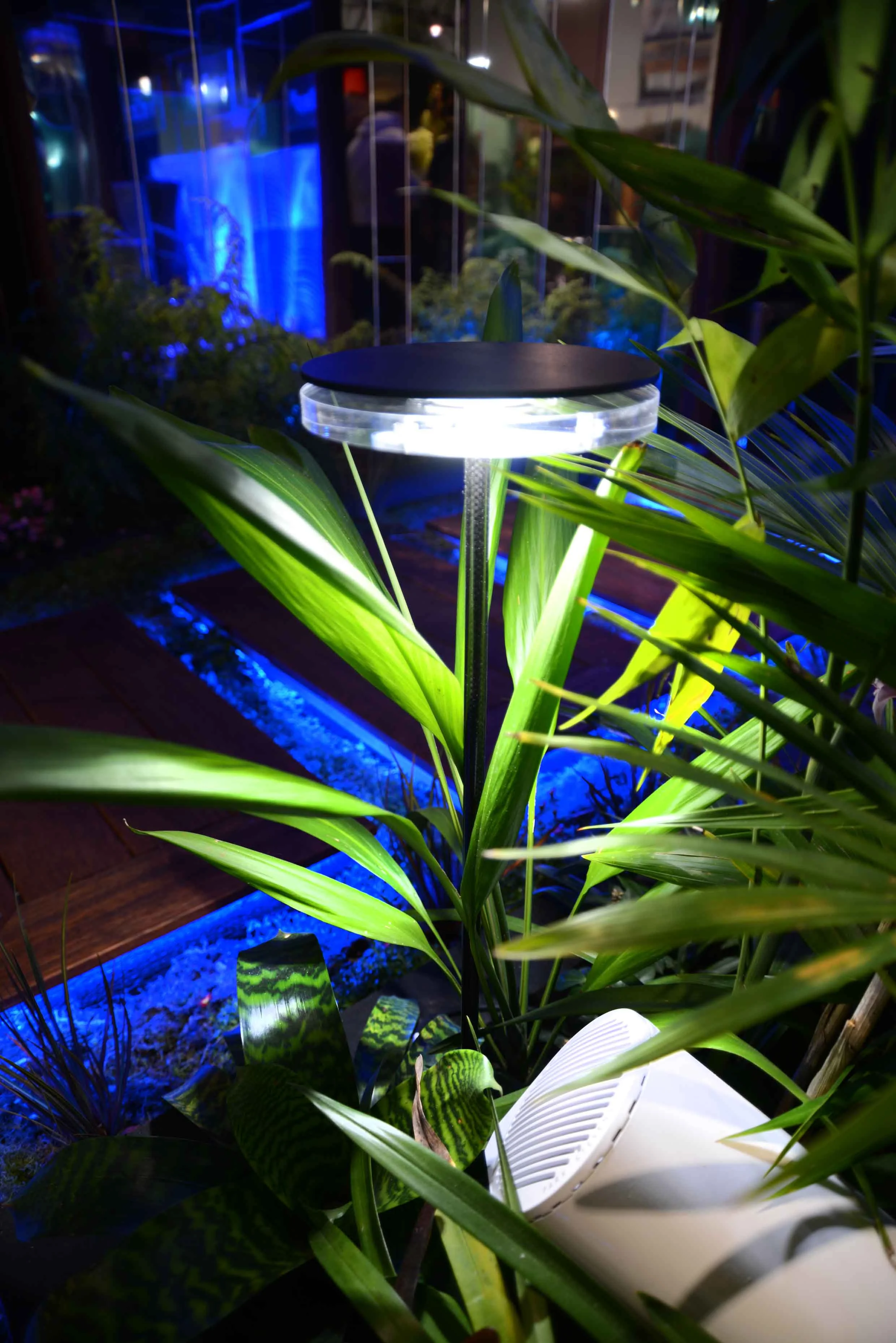 DSC_0090_insight light.jpg