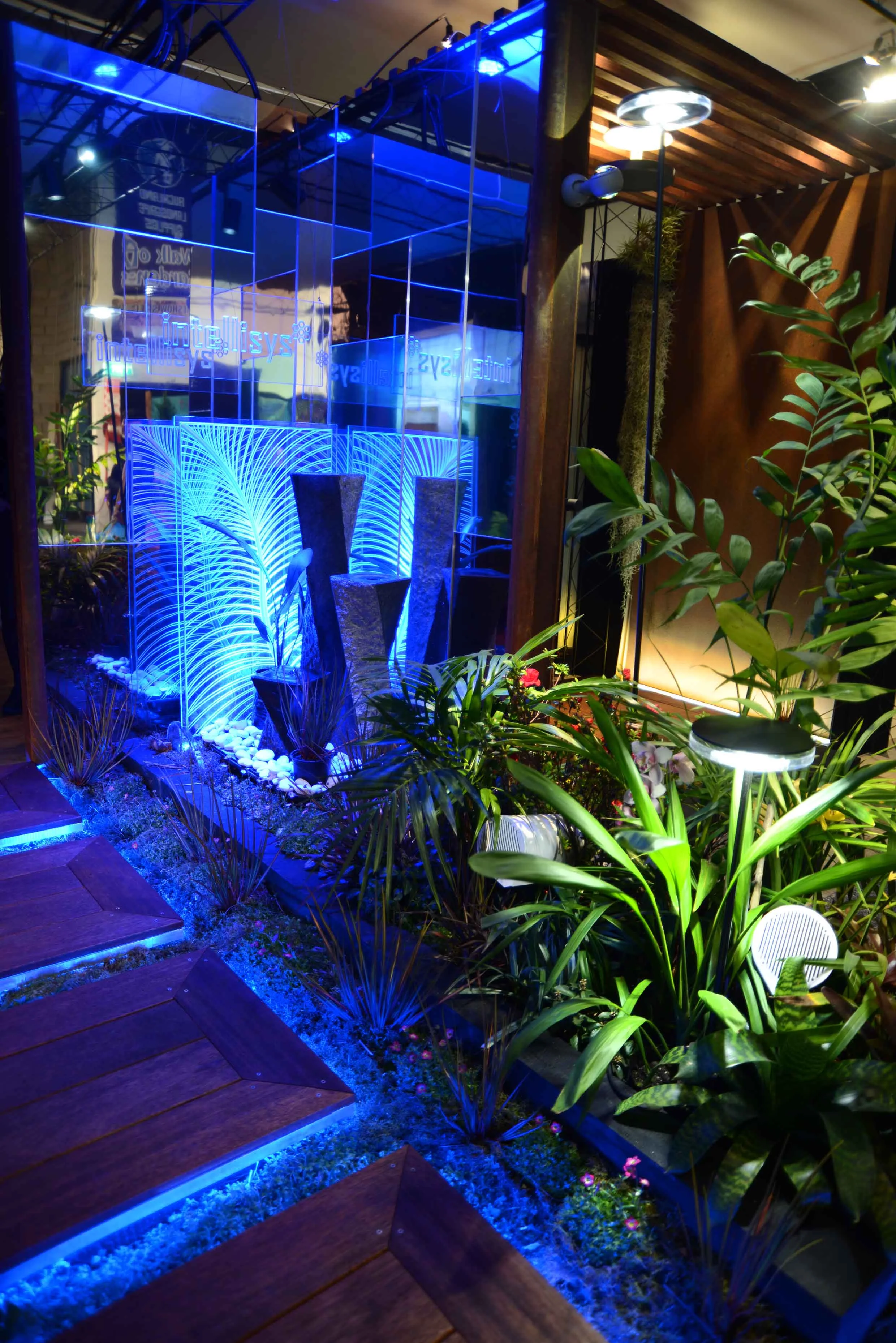 DSC_0098_insight light.jpg