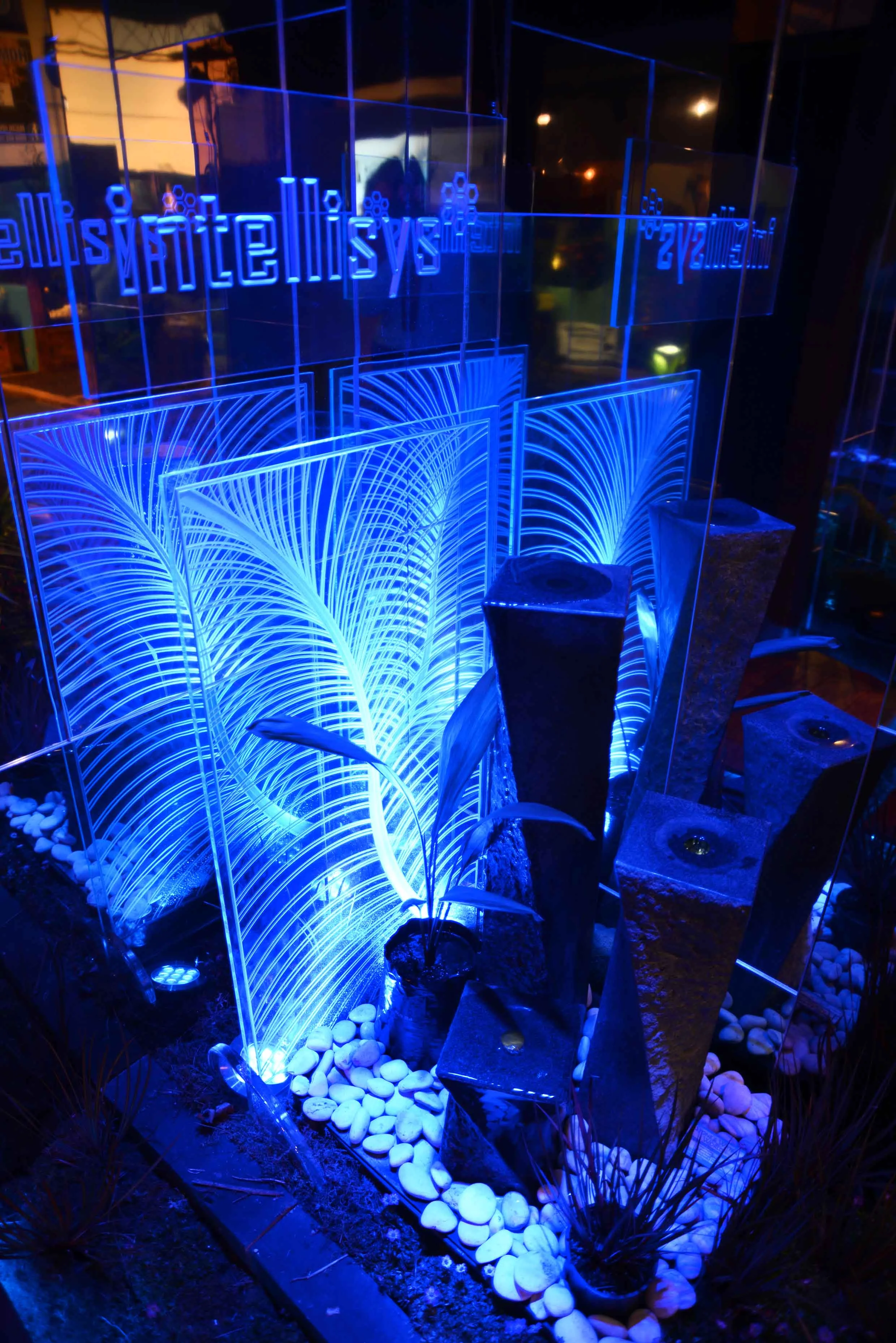 DSC_0104_insight light.jpg