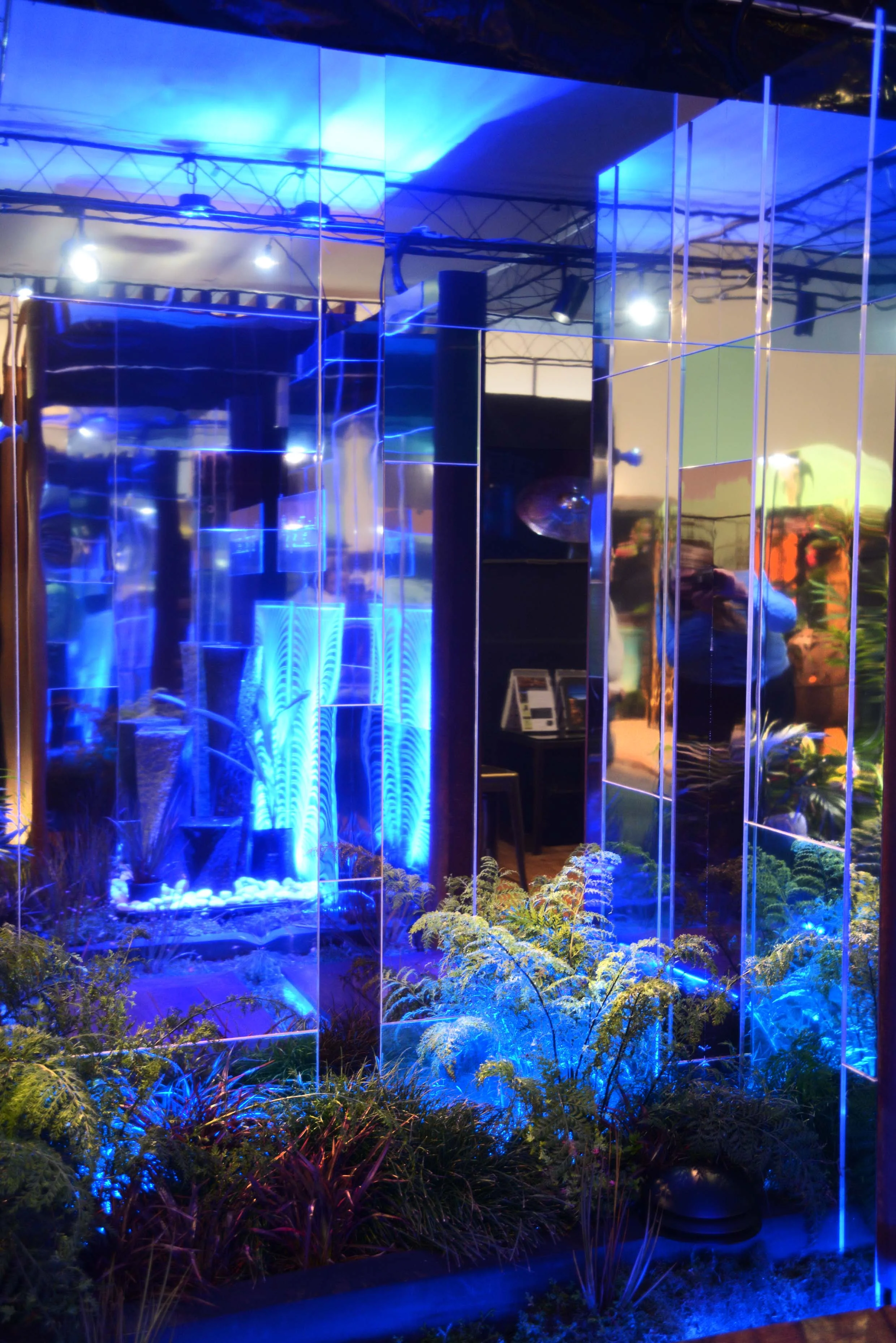 DSC_0112_insight light.jpg