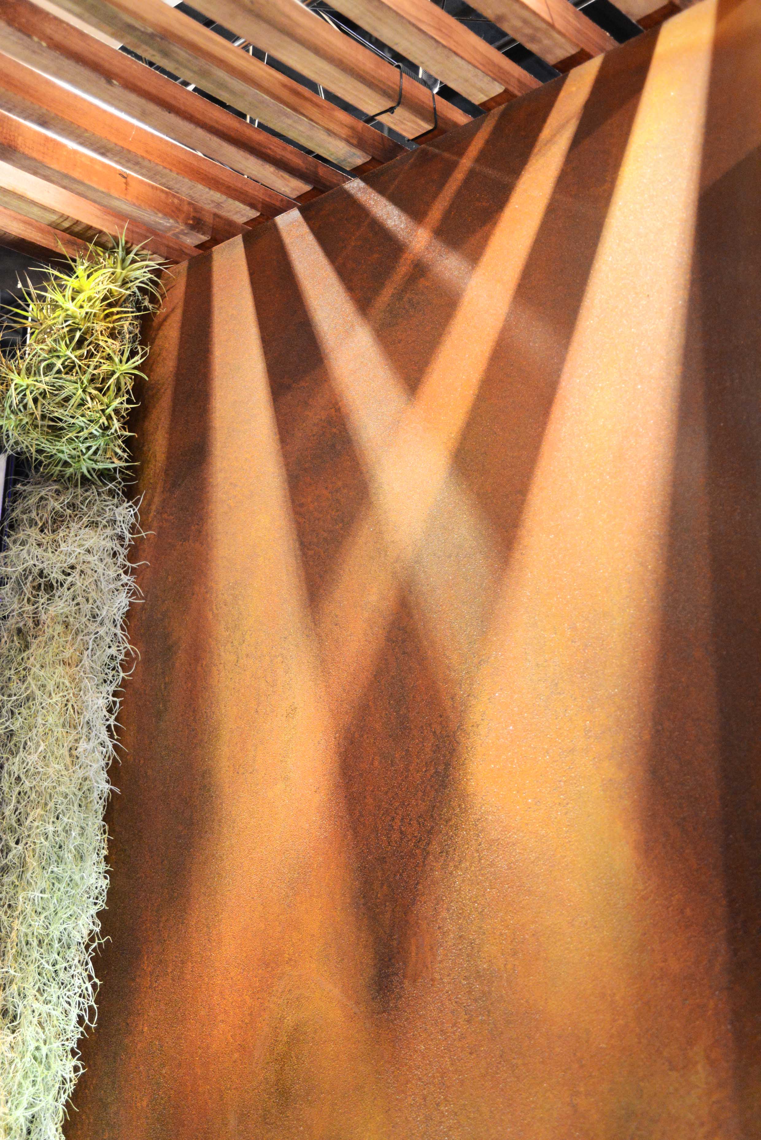 DSC_0169_insight light.jpg