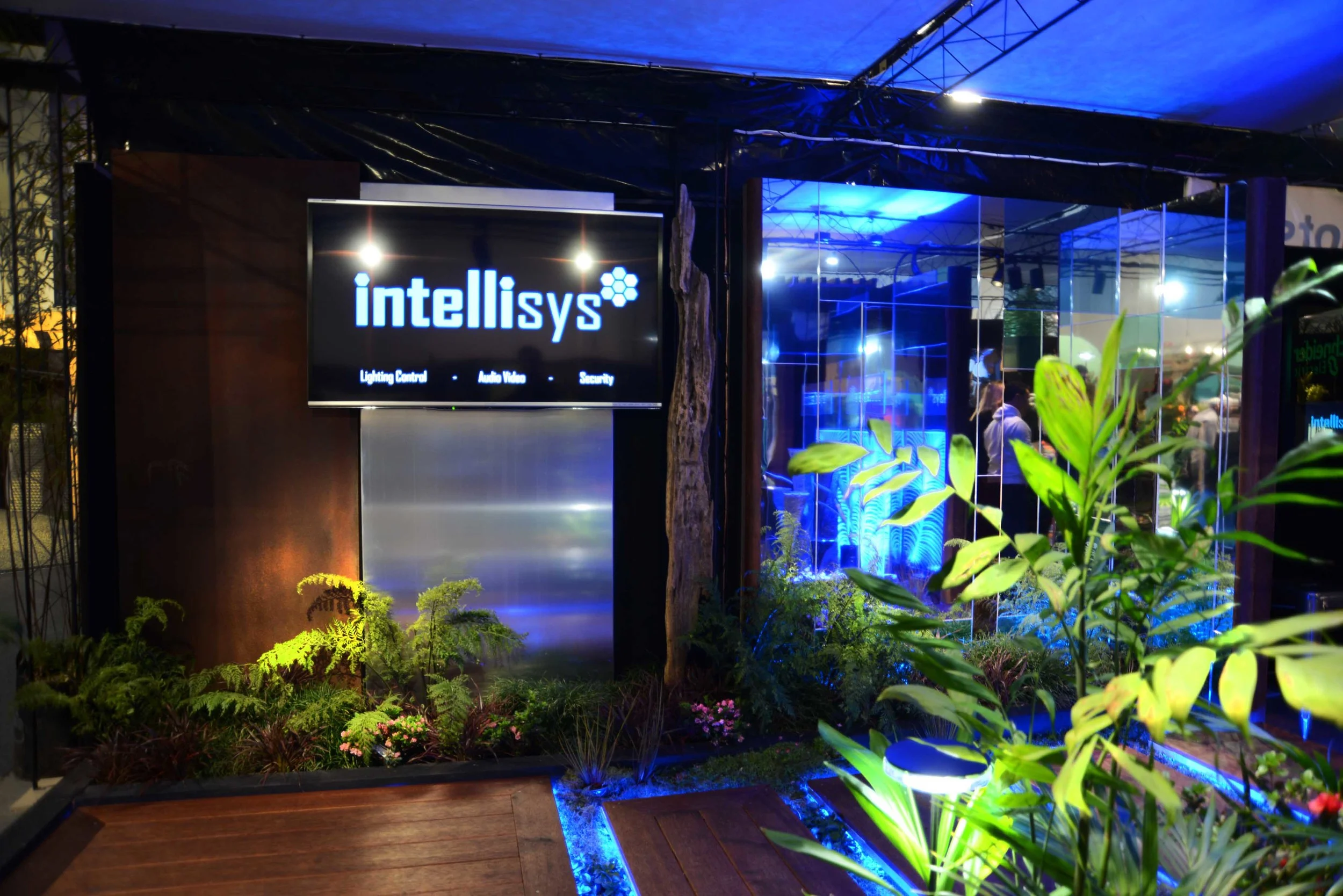 DSC_0094_insight light.jpg