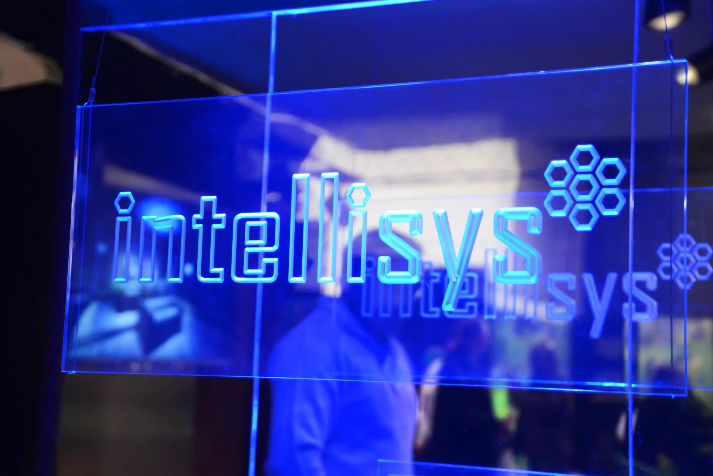 DSC_0111_insight light.jpg