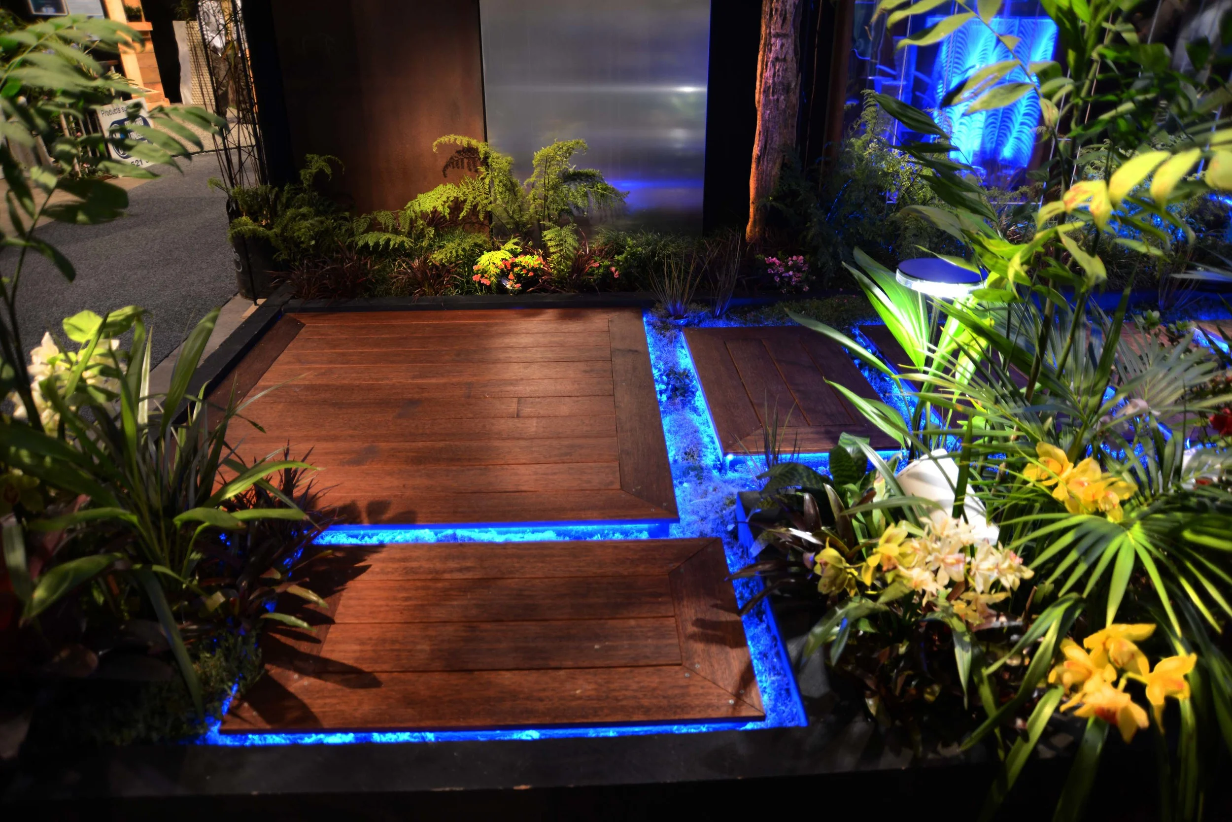 DSC_0174_insight light.JPG