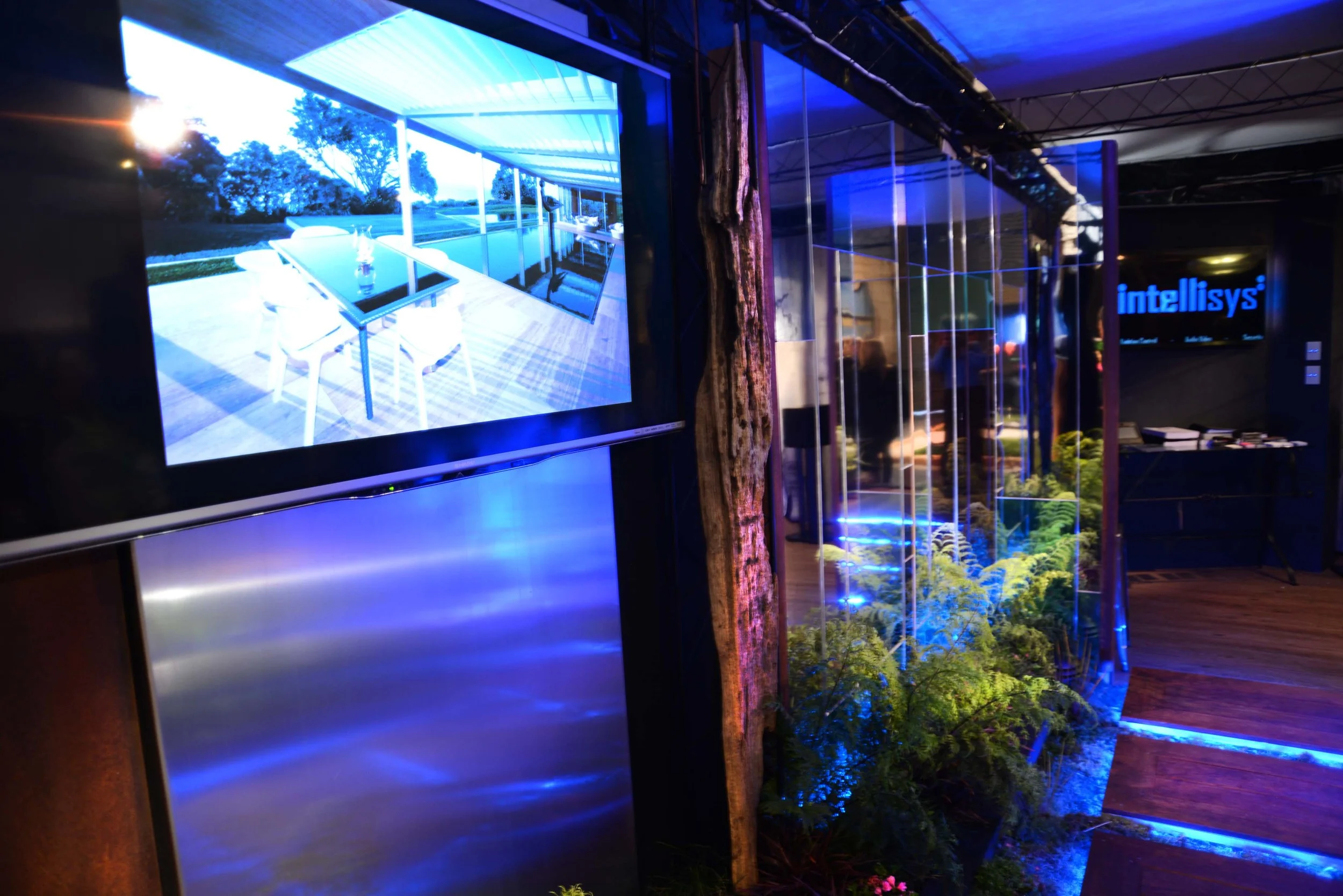 DSC_0173_insight light.jpg