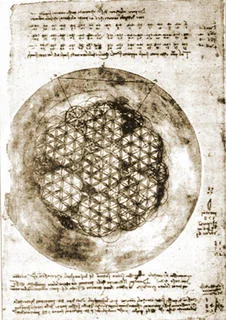 DaVinci-FOL1.jpg