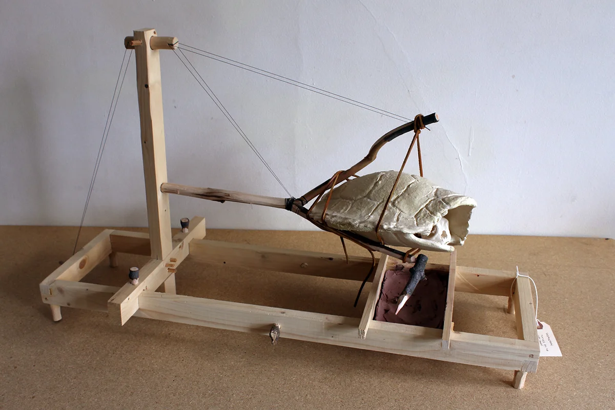 H.Coal Harris: Wilderness Hermit. Turtles all the way down, 2014