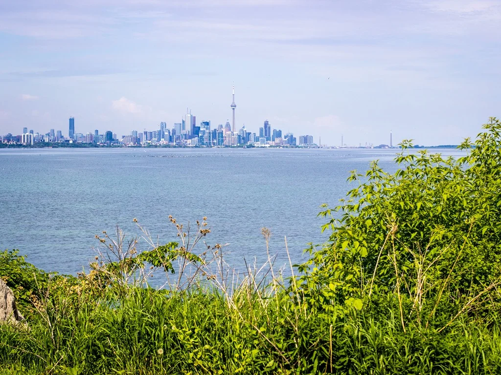 107-Eighth-St-Toronto-Karly-Moore-Real-Estate (1).jpg