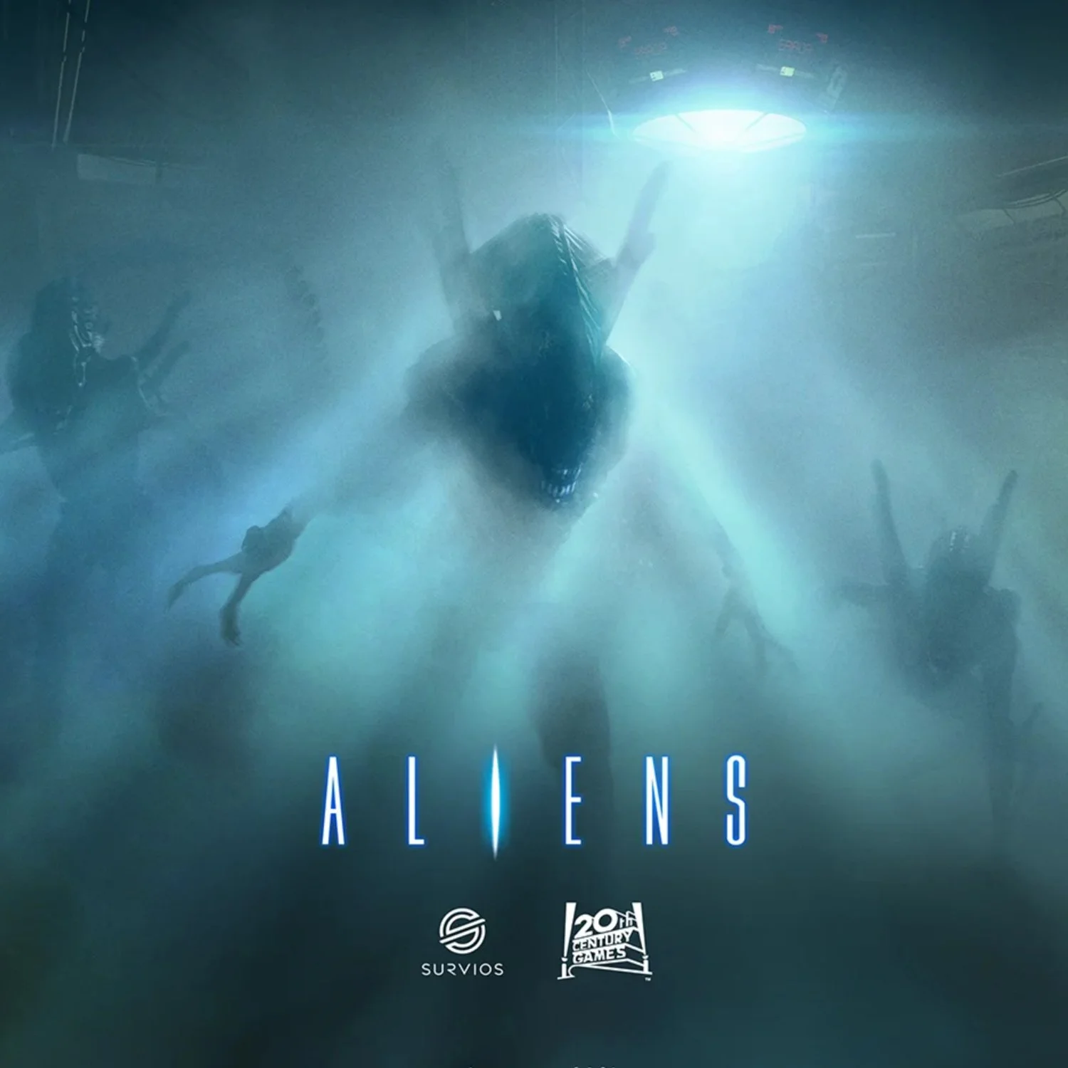 CircGallery Image 30.jpg