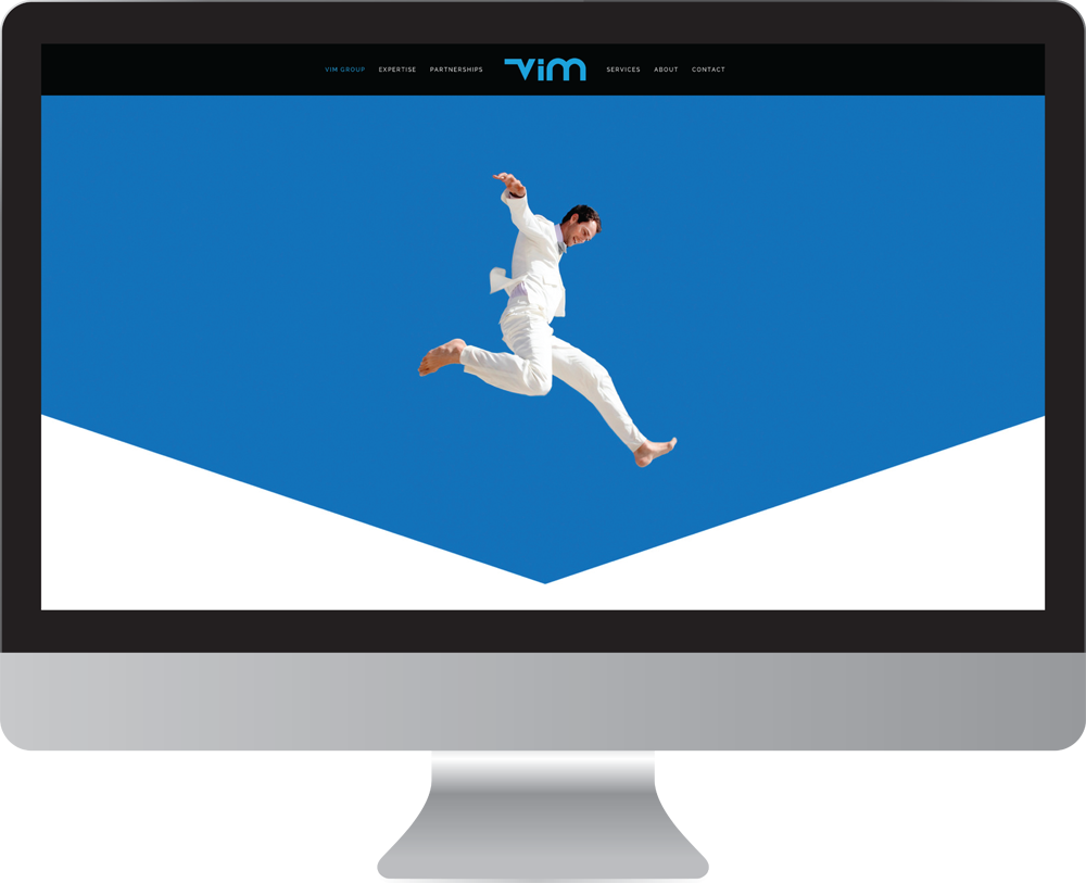 Vim_group_website_design1.png