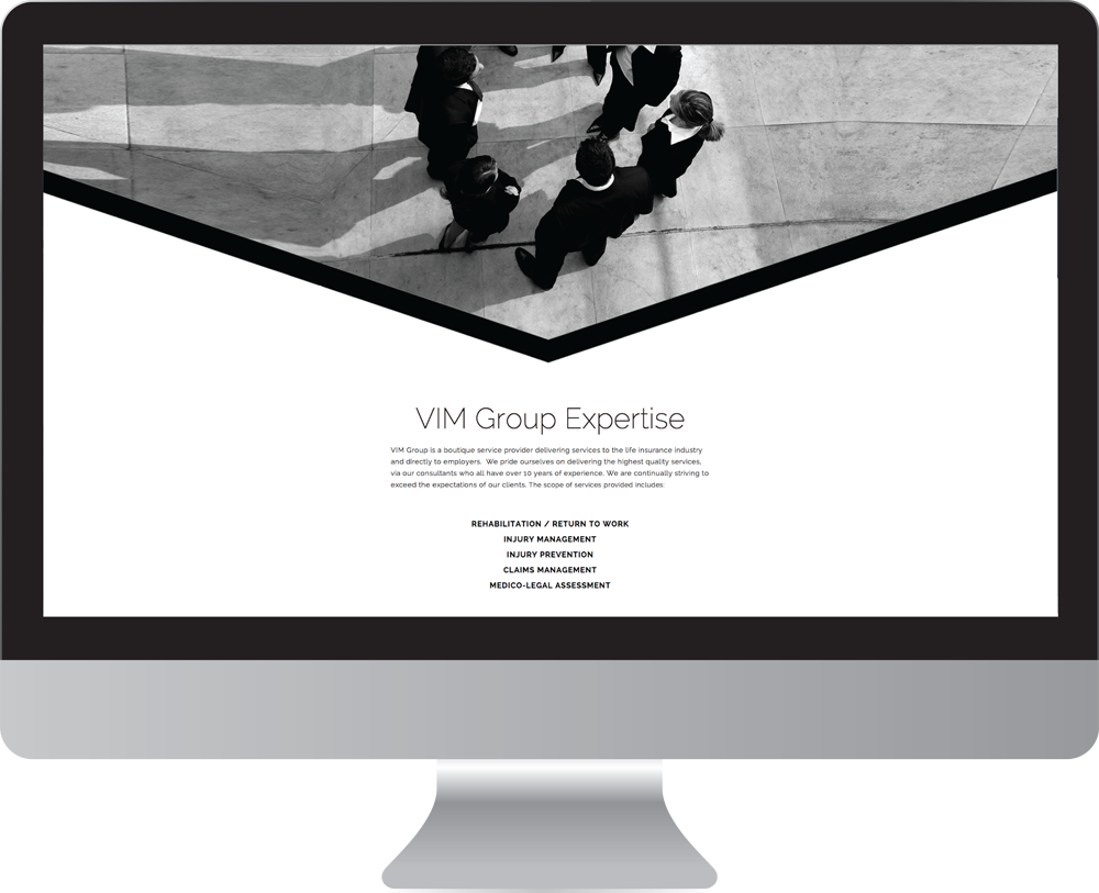 Vim_group_website_design3.png
