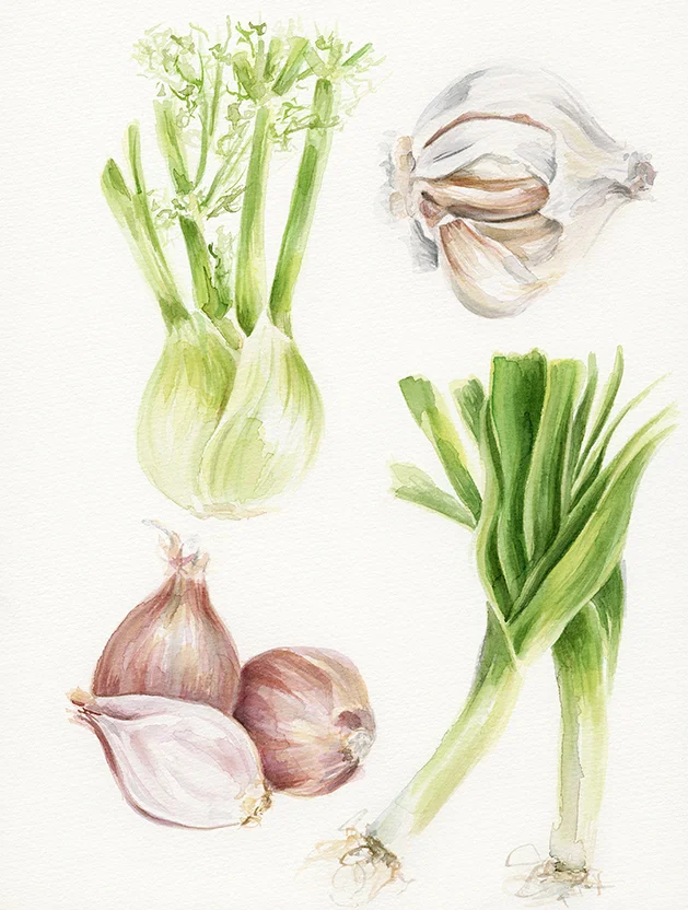 Garlic and Shallots.jpg