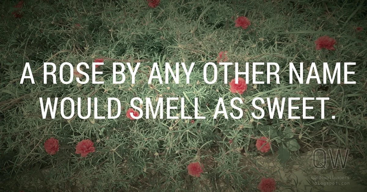 A Rose by Any Other Name