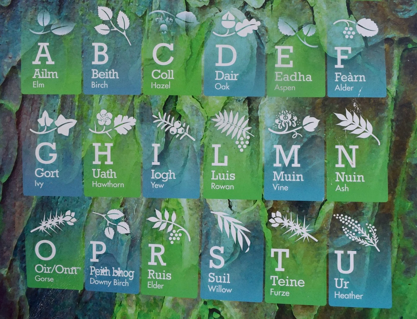 The Gaelic Alphabet and its related words.