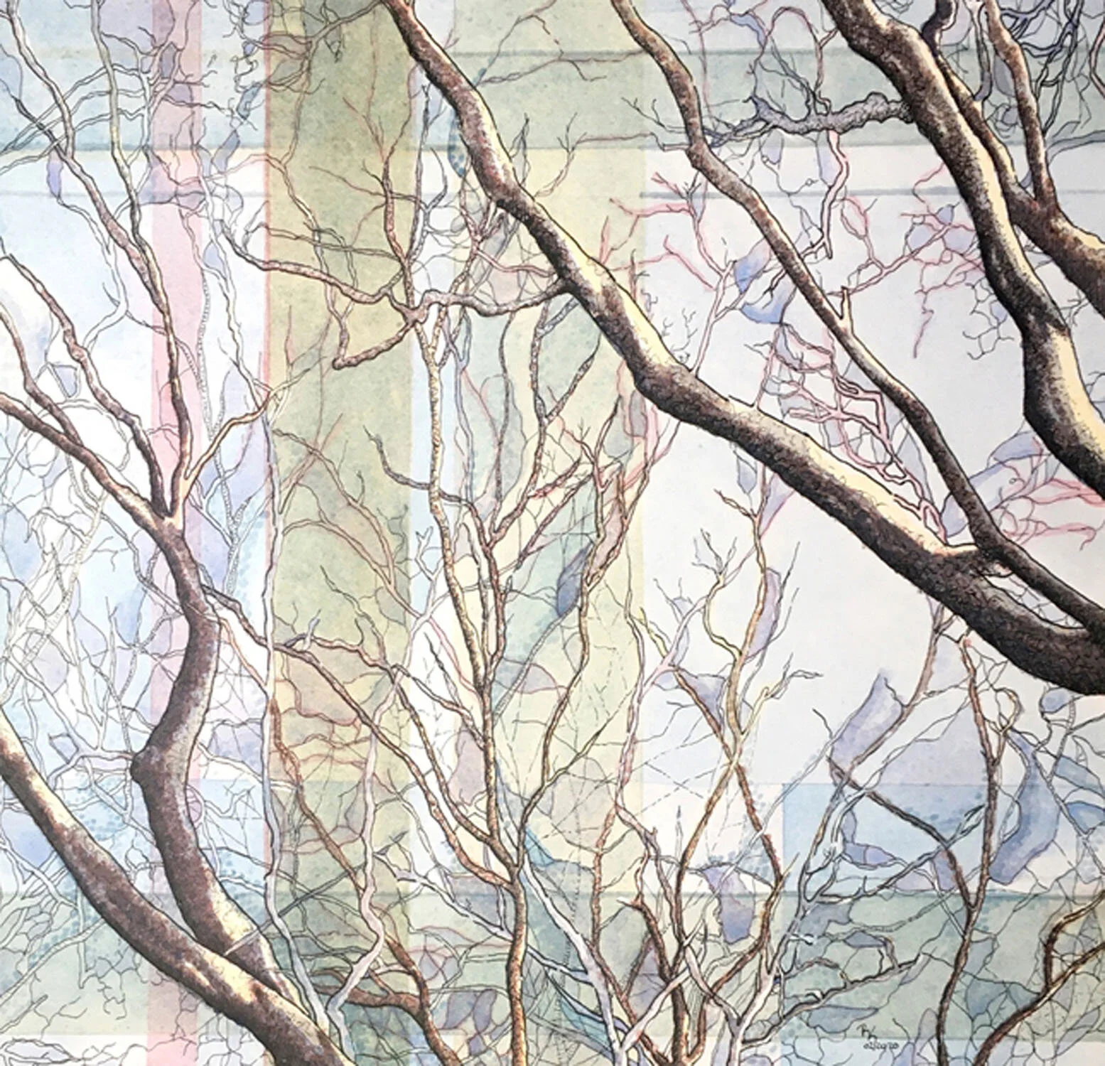 forest air
