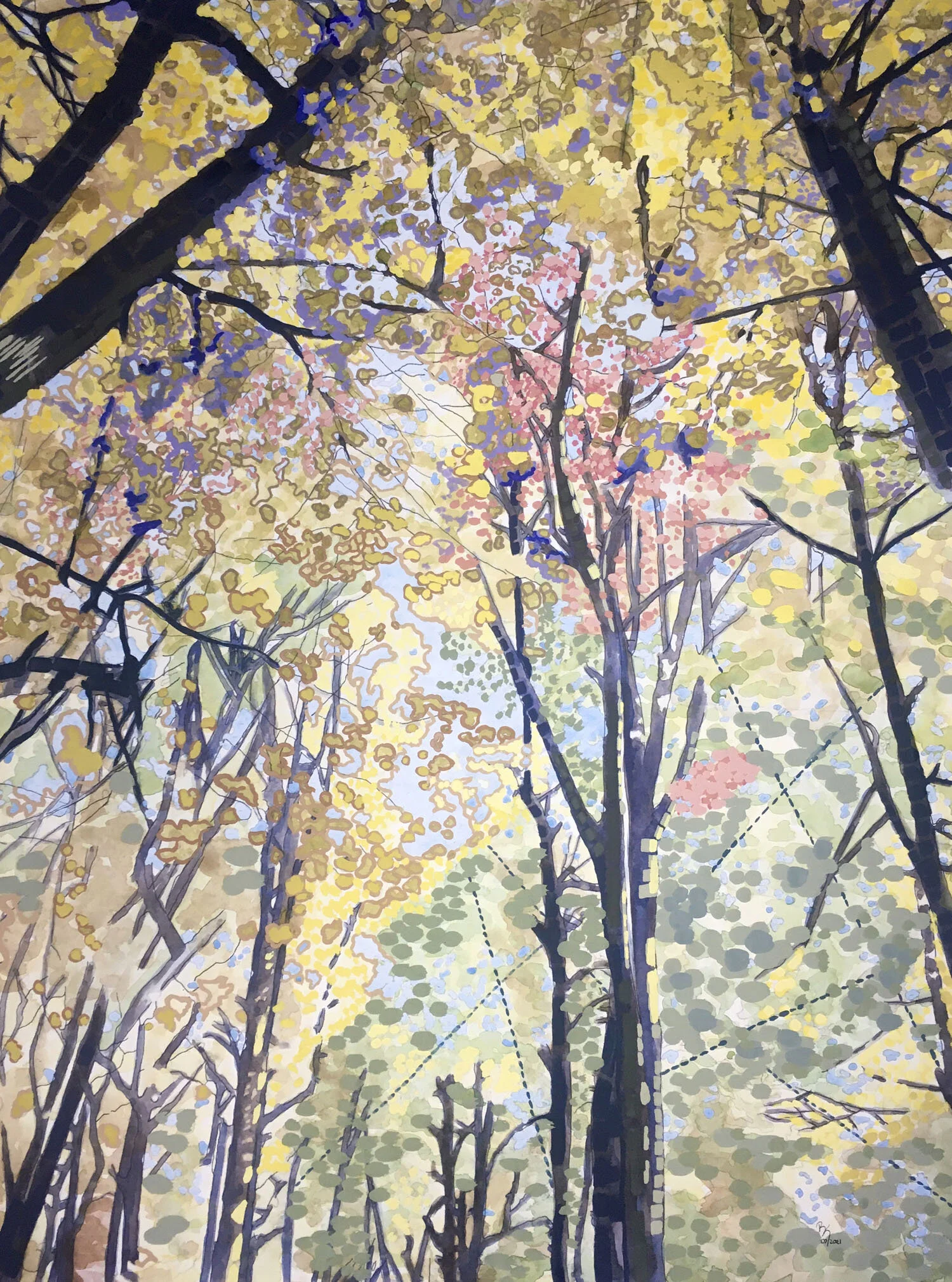 forests orange red green