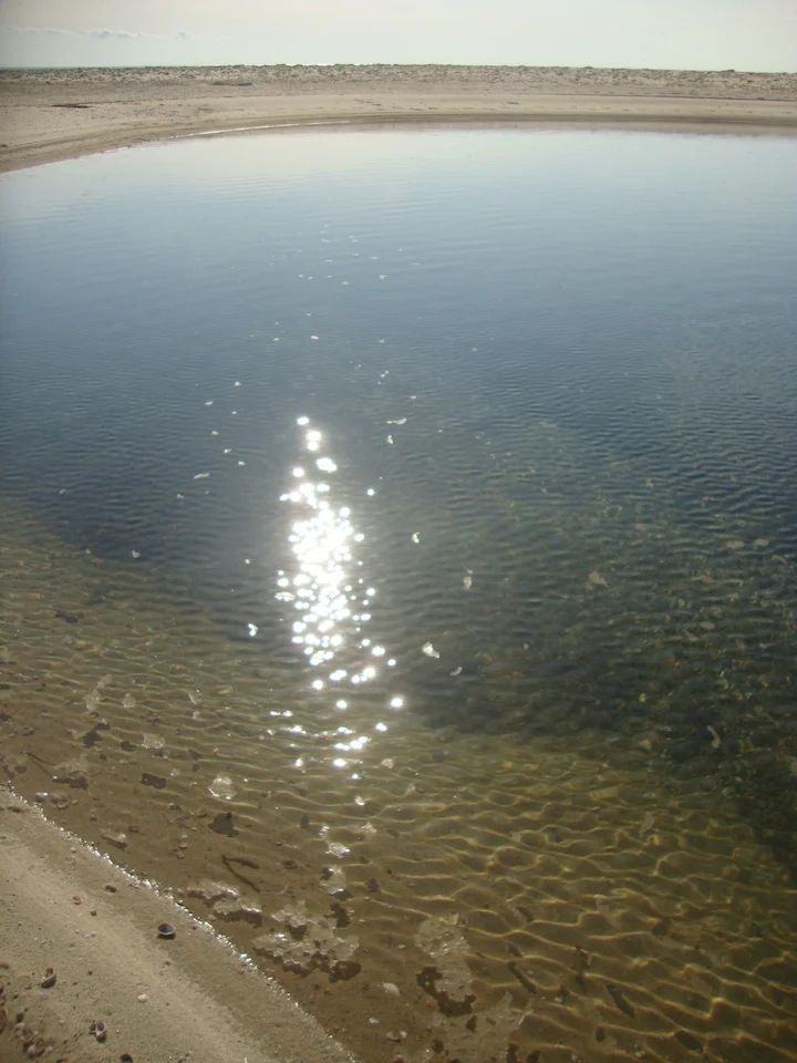water