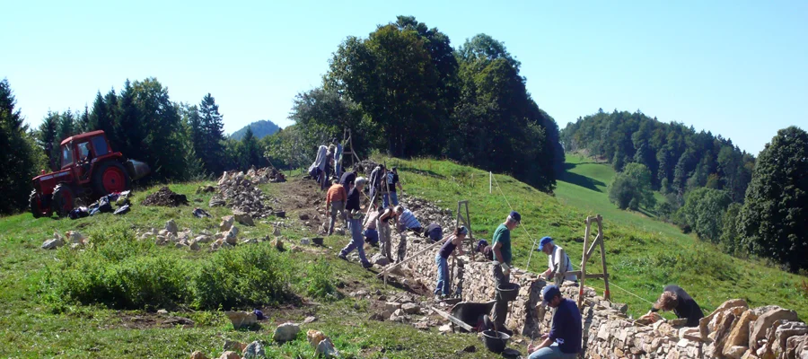 aktuell_probstenberg.jpg