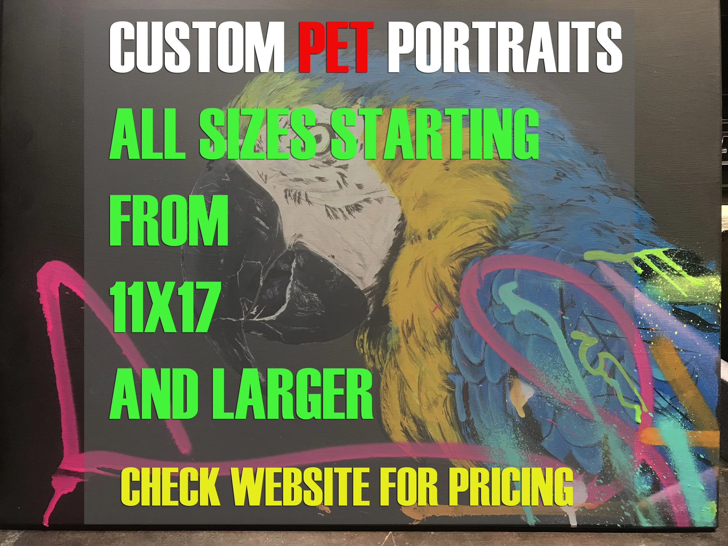 CUSTOM PET1.jpg