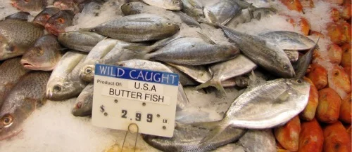 corrado's butter fish.jpg