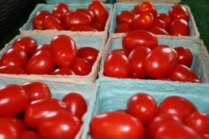 Tomatoes at Matarazzos 040.jpg