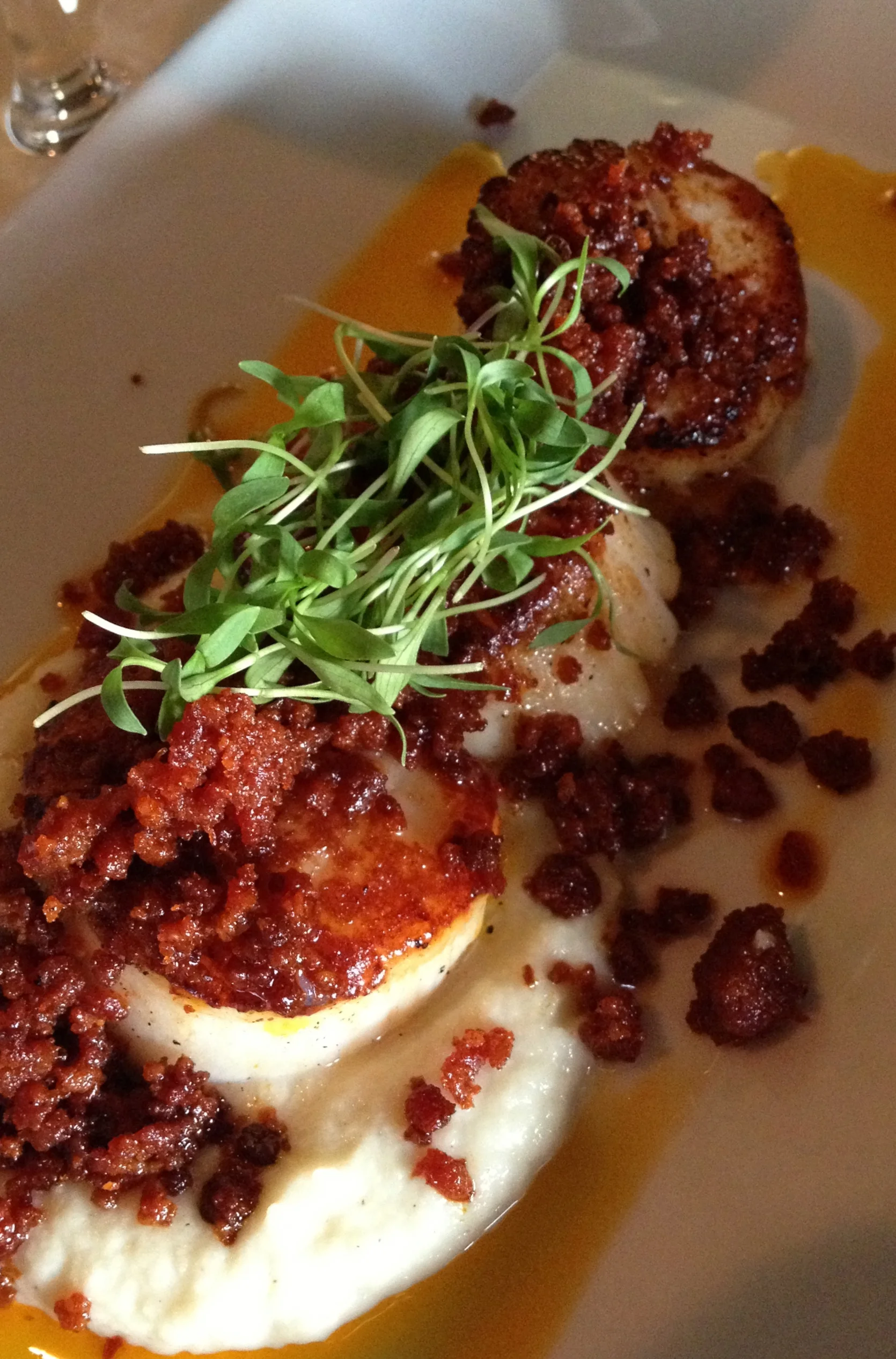 Scallops