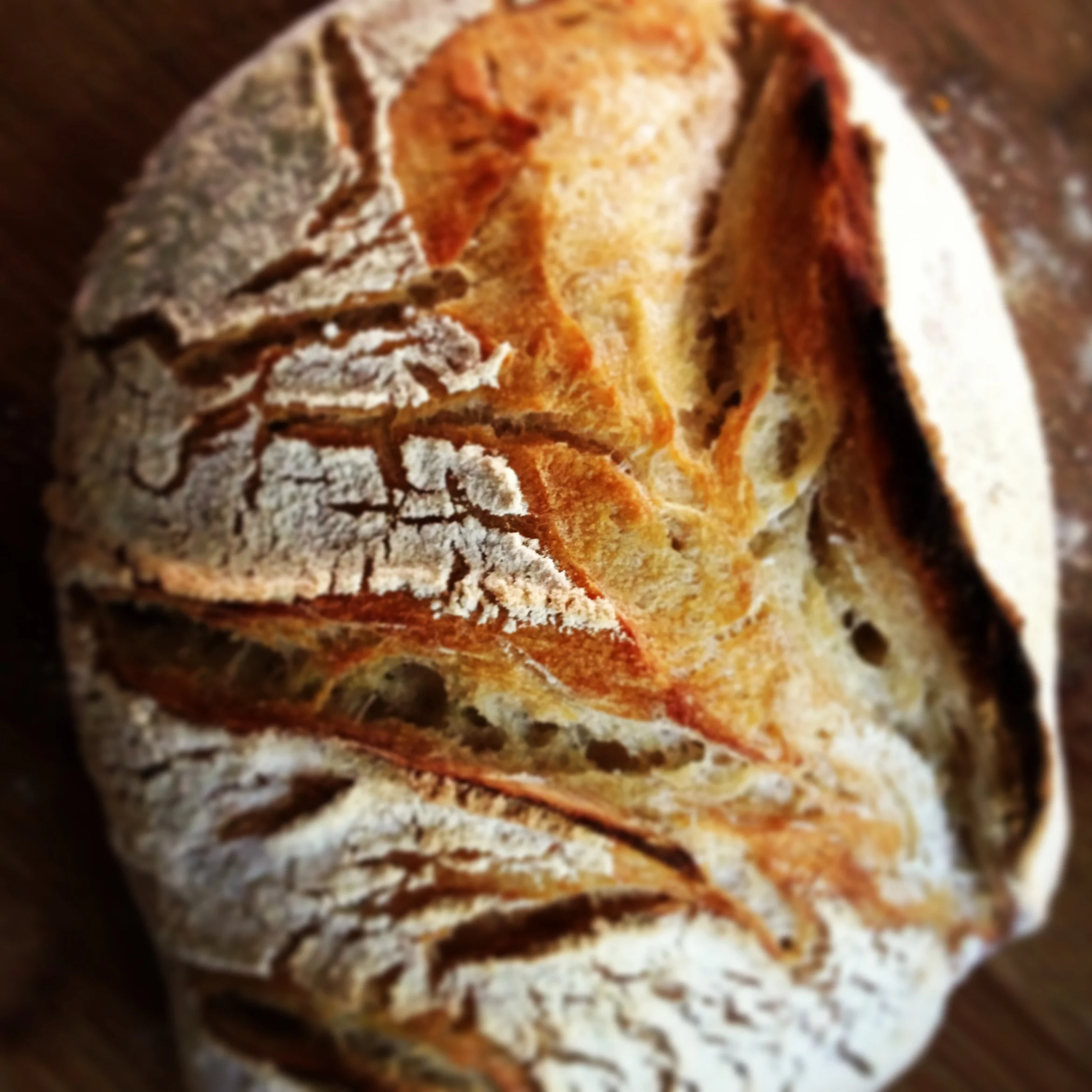 My First Love: Bread + Butter