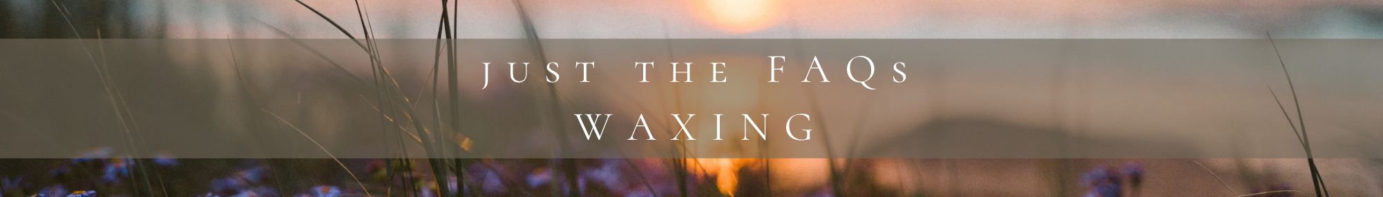 Copy of Headerfooter option - 16.png