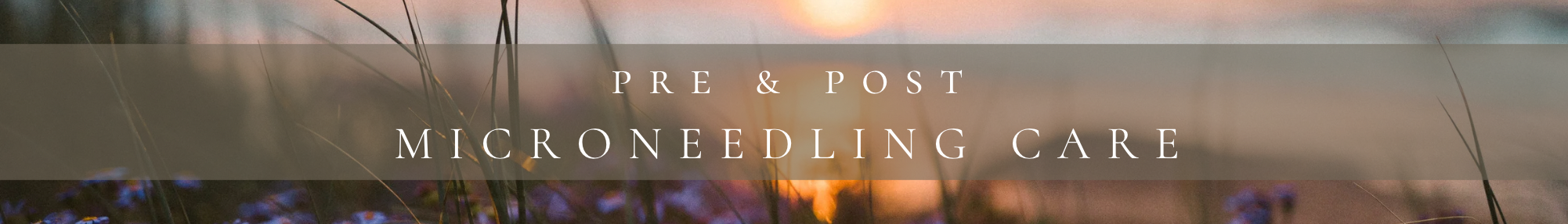 Copy of Headerfooter option.png