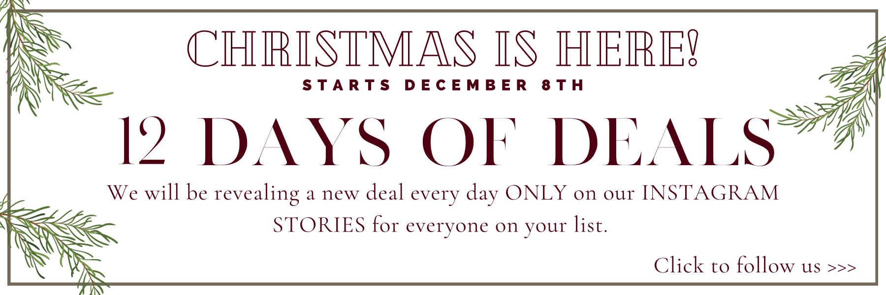 Monthly website specials.png