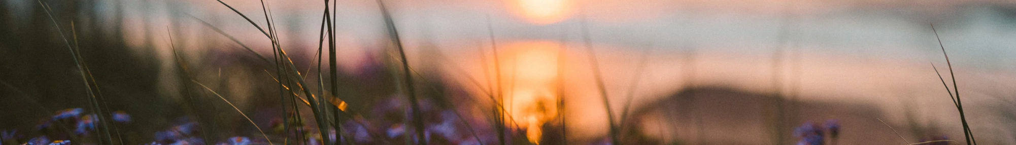 Copy of Headerfooter option.png