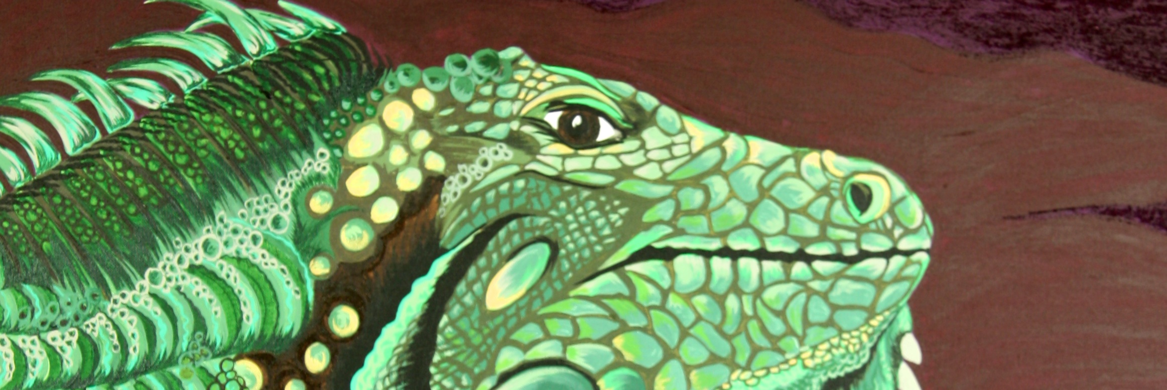 Iguana close up.jpg