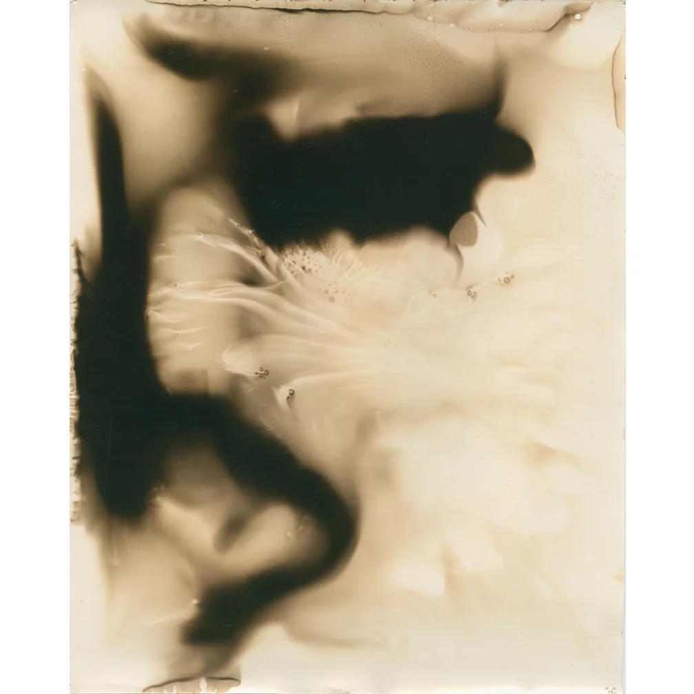 Untitled-23.jpg