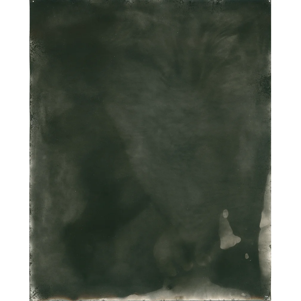 Untitled-60.jpg