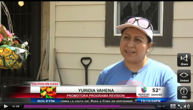 Programa de cultivo de alimentos en casa