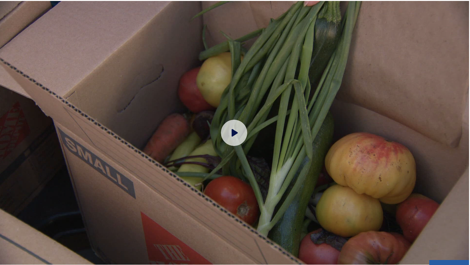 ‘Food is medicine’: Denver Health clinic hands out free produce to patients