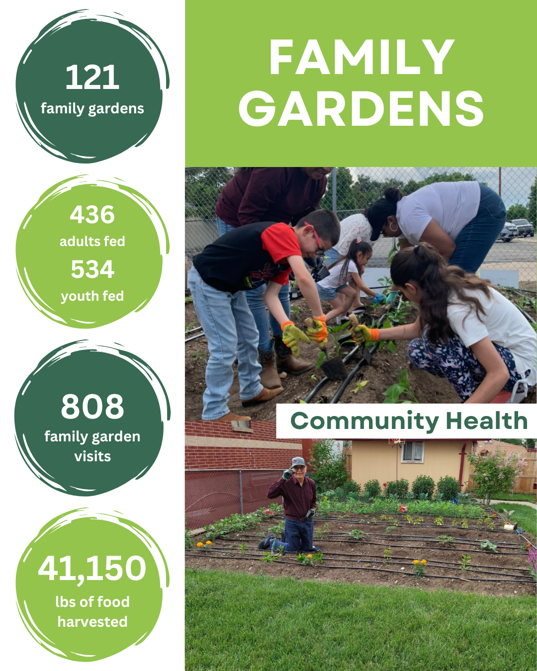 Photo of family gardening