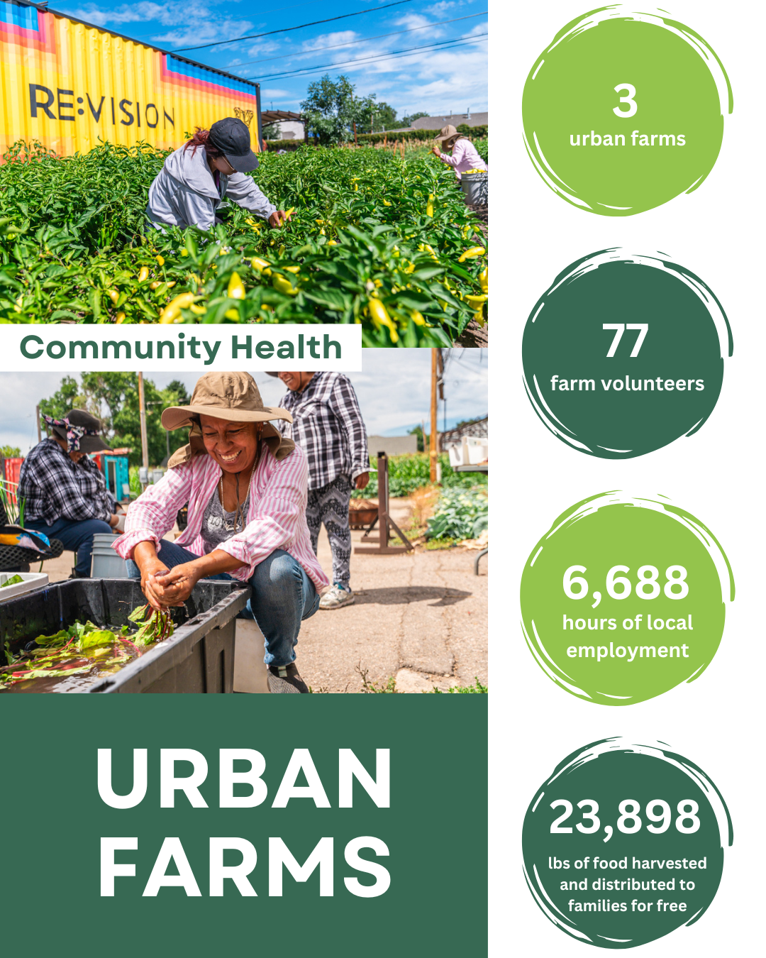 Photo of urban farms