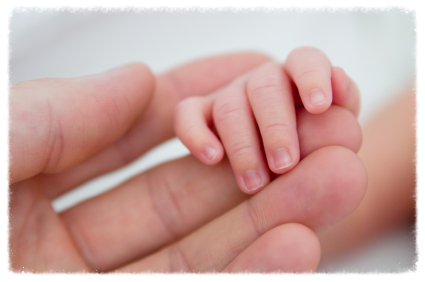 Northwest DNA Testing