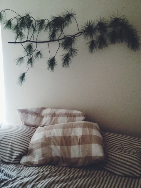 winter bed.jpg