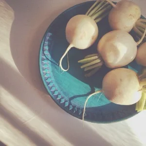 DP turnip roots.jpg
