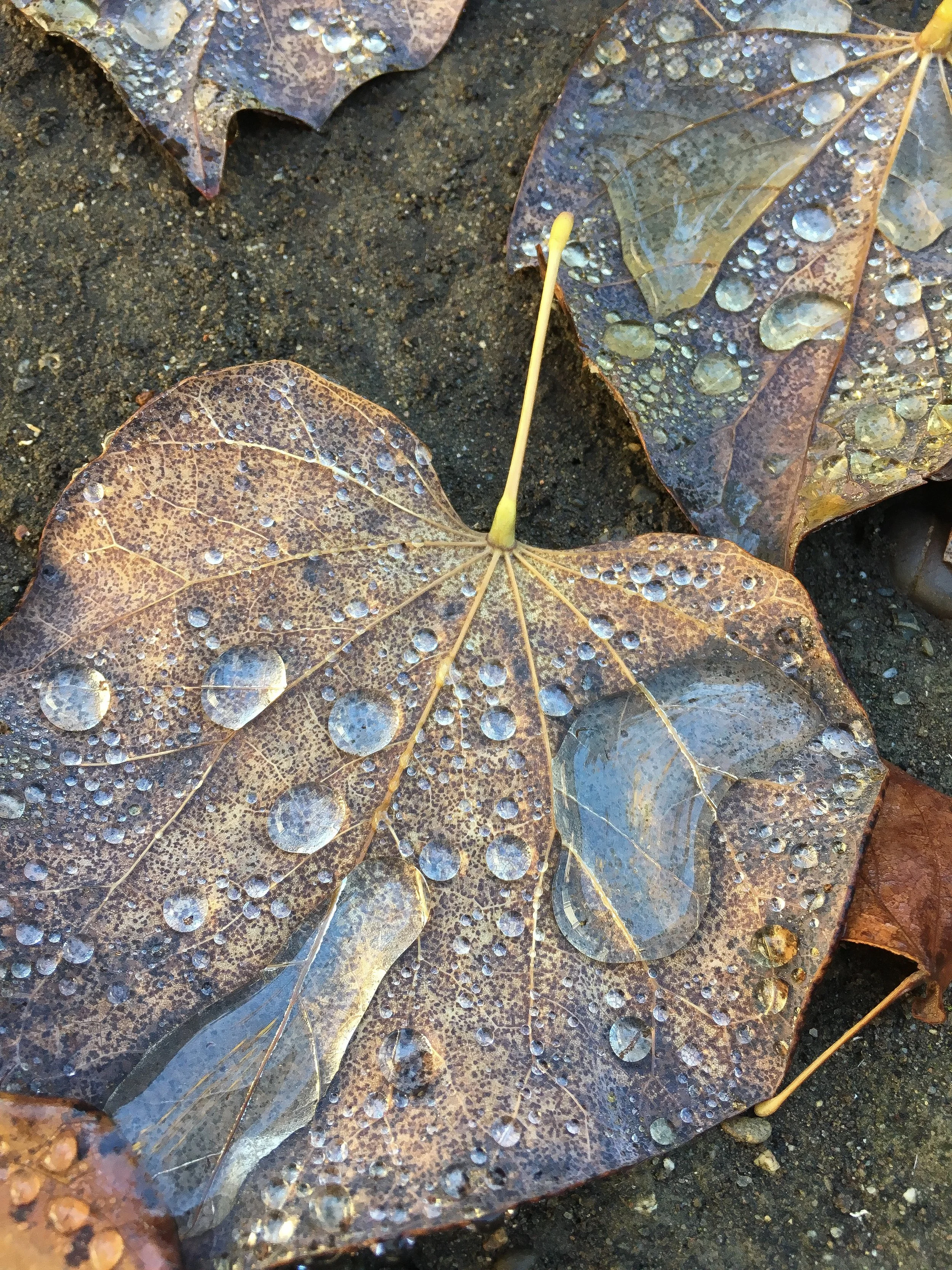 Now it is November...