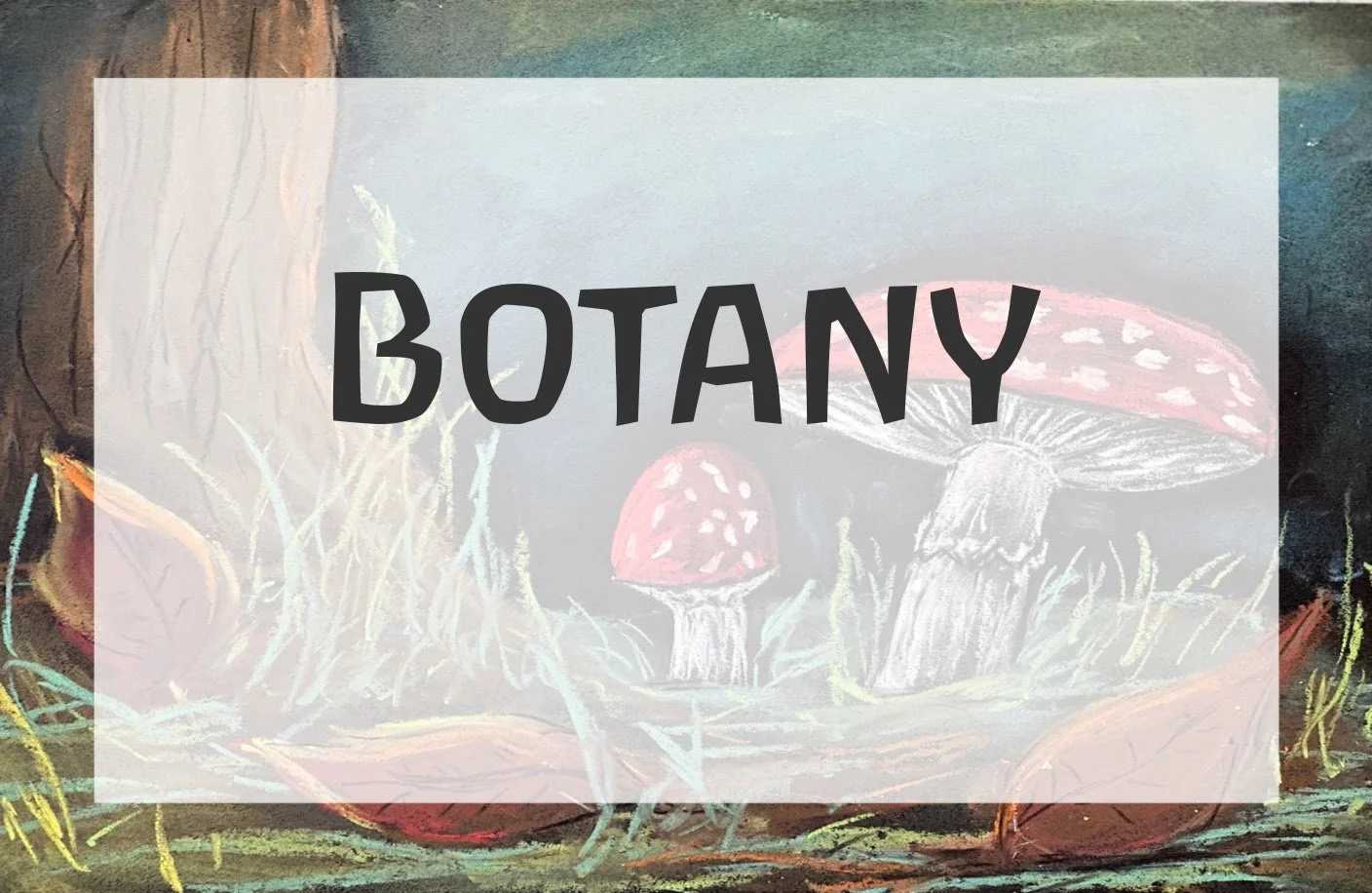 AVAILABLE YEAR ROUND
GRADES 5+  A guided year of Botany exploration, with step-by-step lessons that bring the fascinating world of plants to life. It's a jungle out there. Even in the backyard!