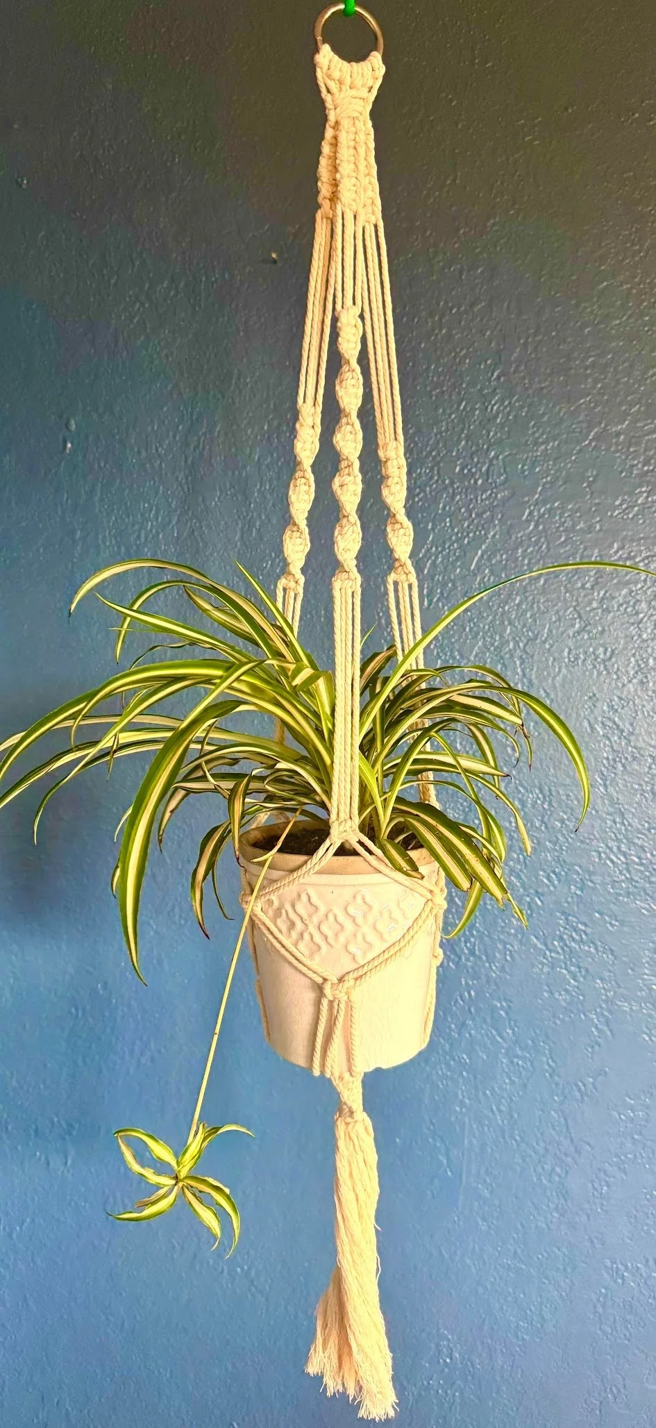 An image of a macrame plant holder made in a fifth grade handwork class.